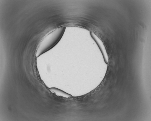 X0000112830289200910021228