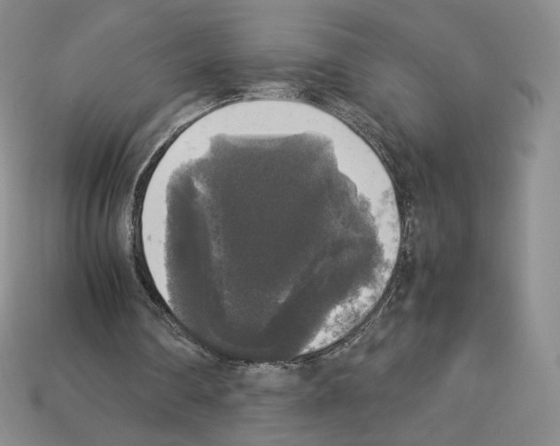 X0000112830290200910021228