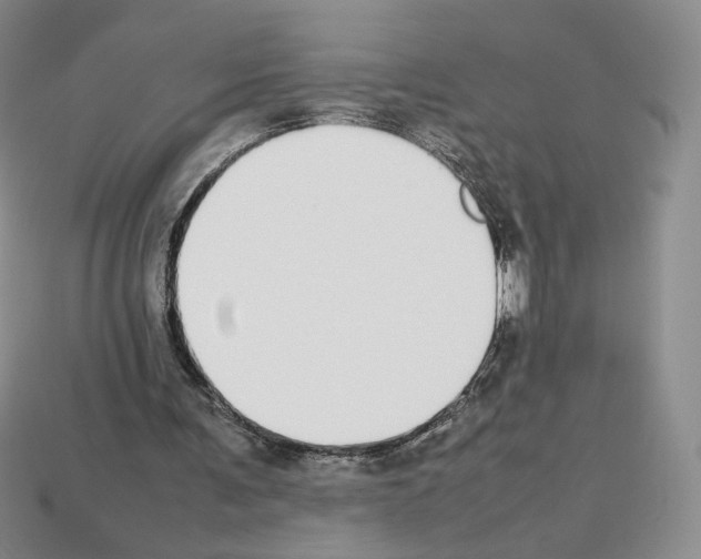 X0000112830291200910021228