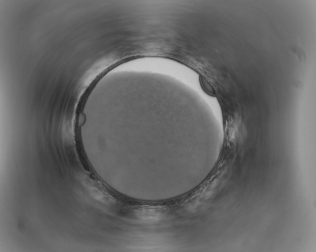 X0000112830292200910021228