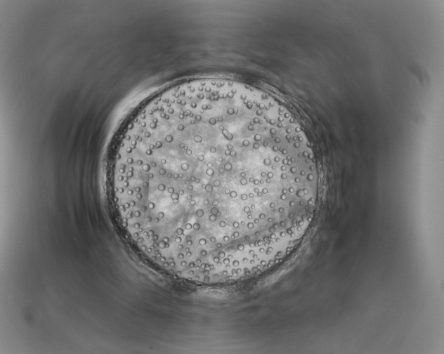 X0000112830294200910021228