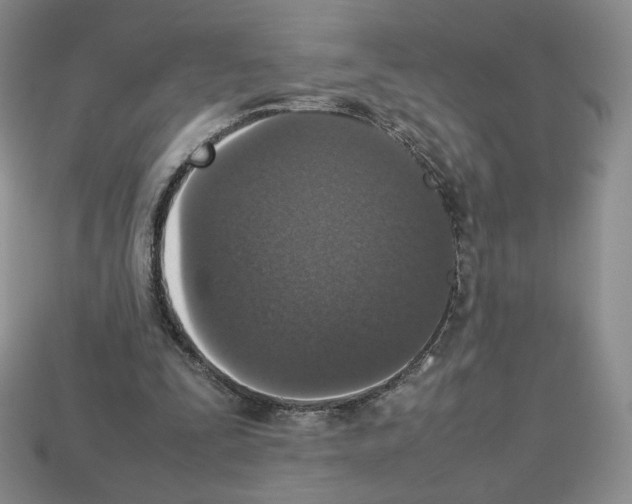 X0000112830295200910021228