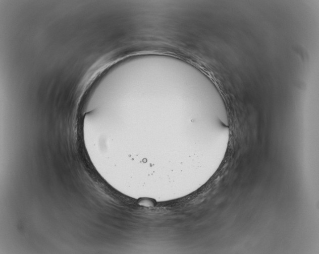 X0000112830296200910021228