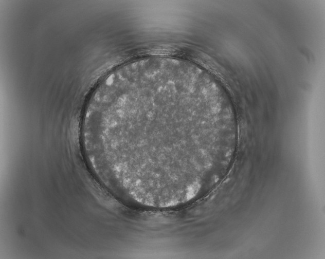 X0000112830297200910021228