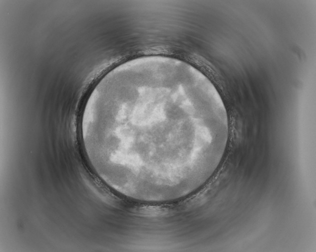 X0000112830298200910021228