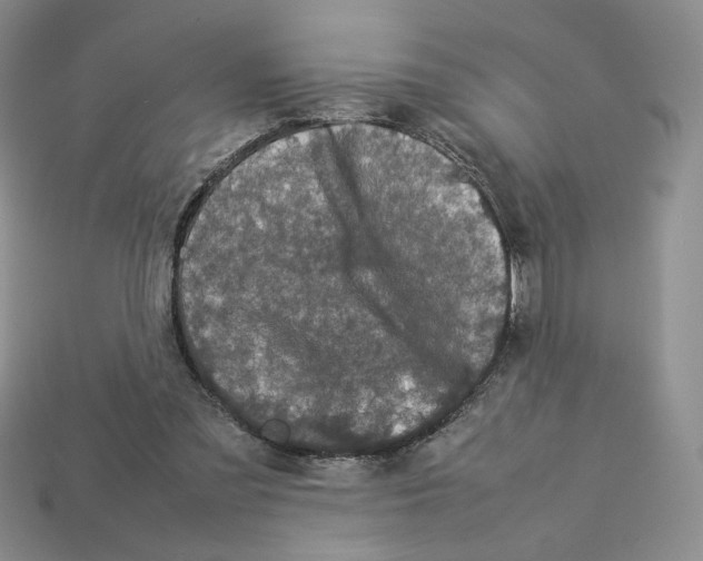 X0000112830301200910021228