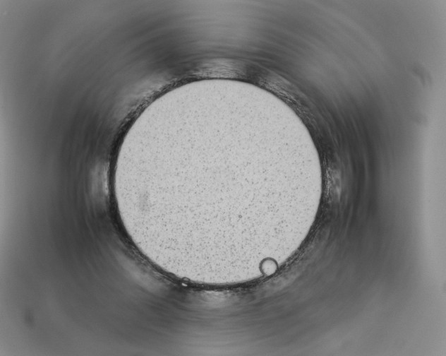 X0000112830302200910021228