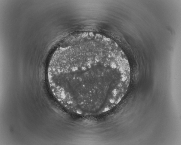 X0000112830303200910021228