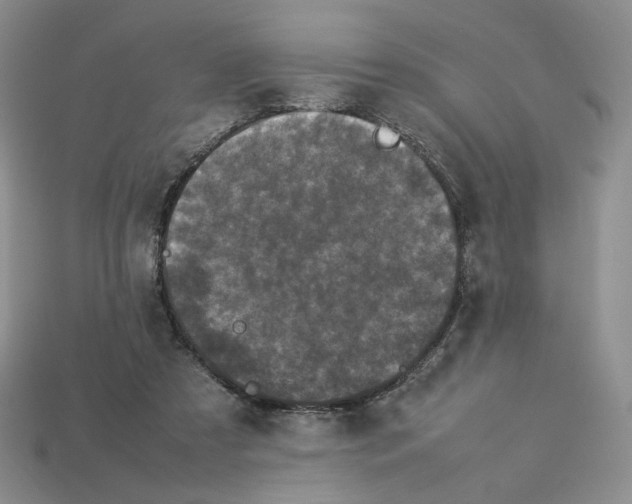 X0000112830305200910021228