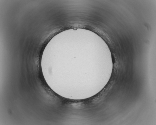 X0000112830306200910021228