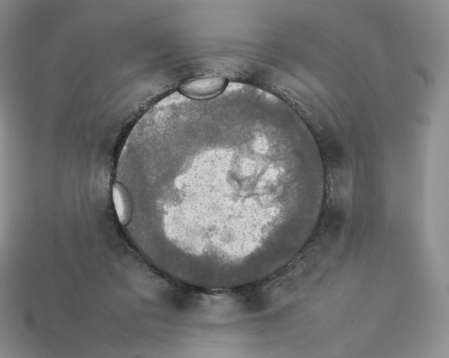 X0000112830309200910021228