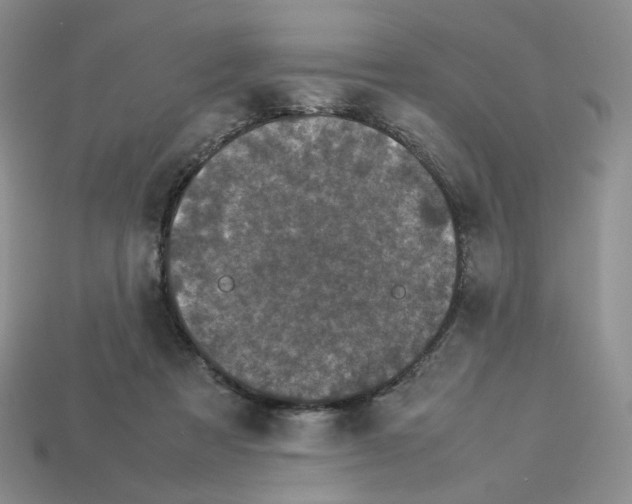 X0000112830313200910021228