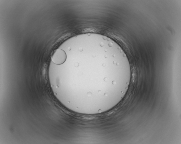 X0000112830314200910021228