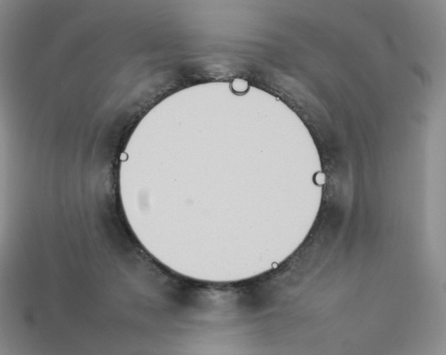 X0000112830317200910021228