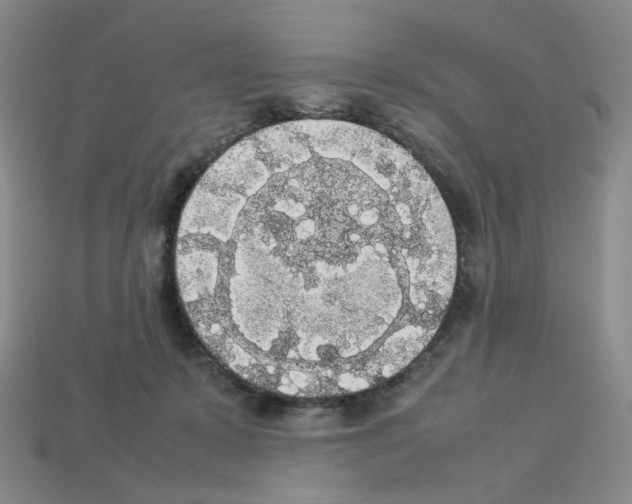 X0000112830319200910021228