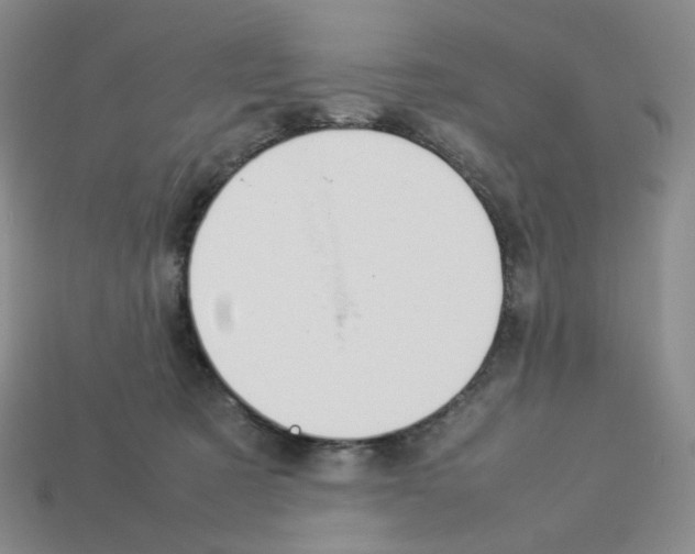 X0000112830321200910021228