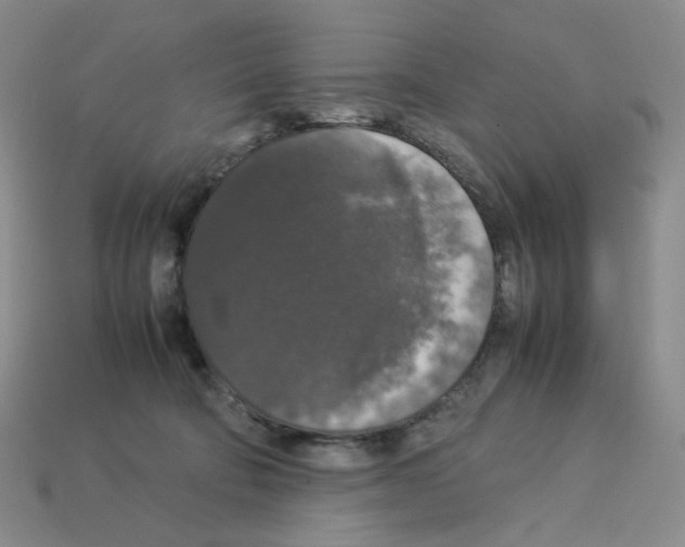 X0000112830322200910021228