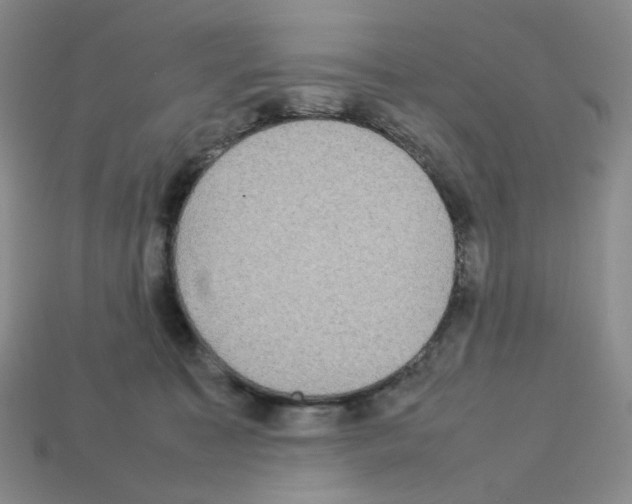 X0000112830323200910021228