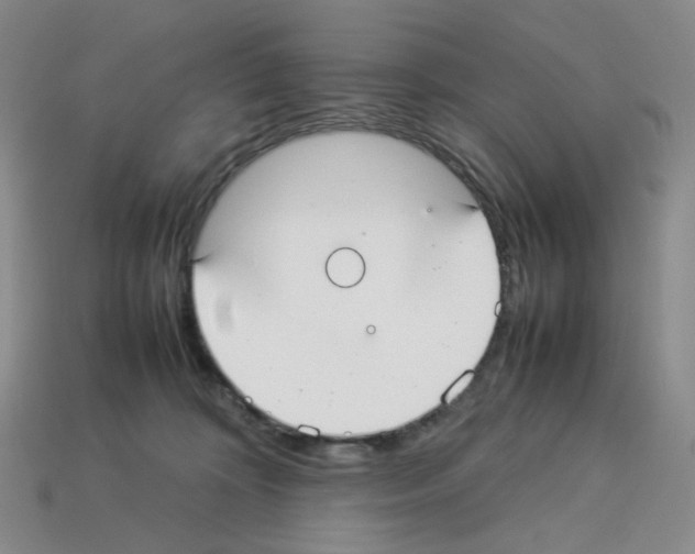 X0000112830324200910021228