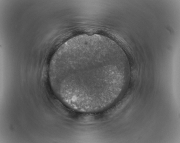 X0000112830325200910021228