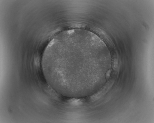 X0000112830326200910021228