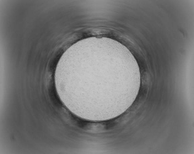 X0000112830327200910021228