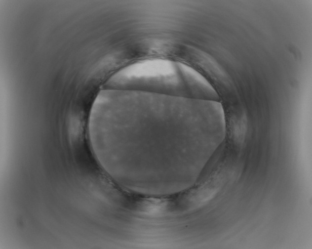 X0000112830328200910021228