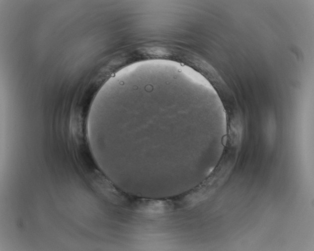 X0000112830330200910021228