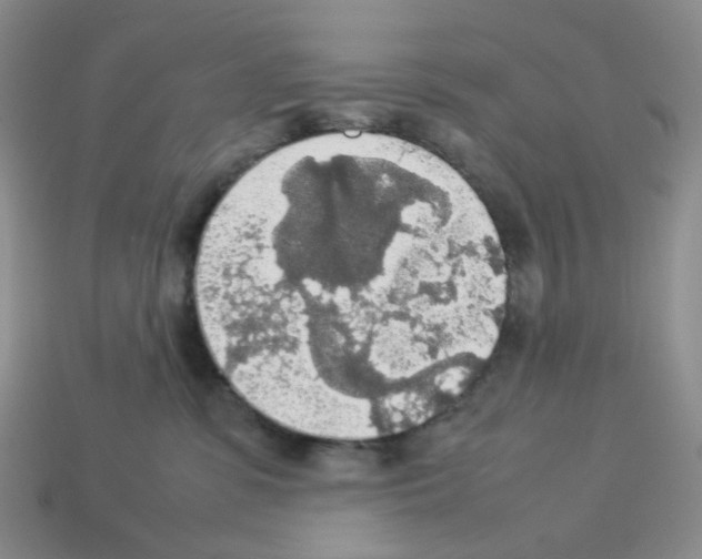 X0000112830331200910021228