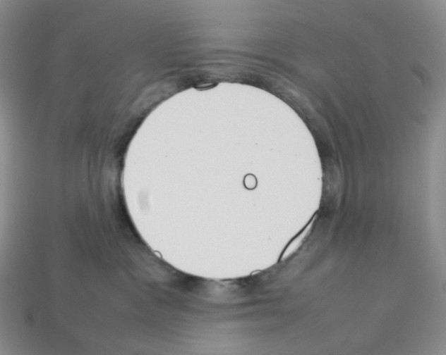 X0000112830333200910021228