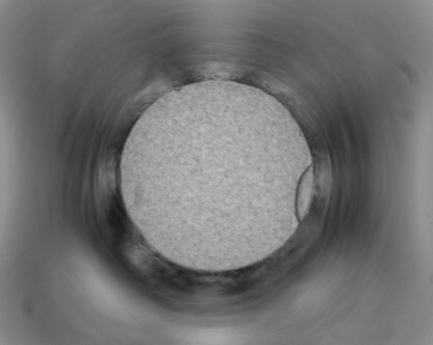 X0000112830334200910021228