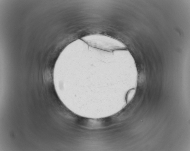 X0000112830335200910021228