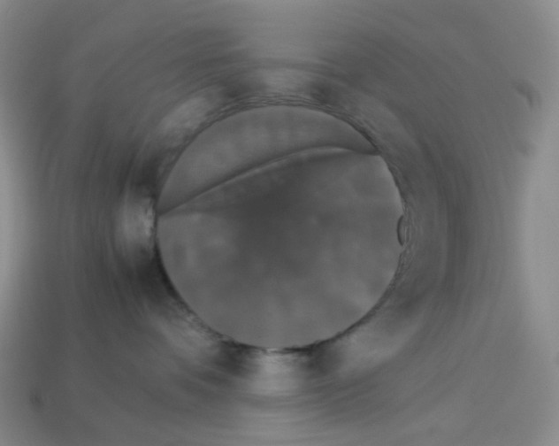 X0000112830336200910021228