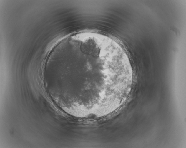 X0000112830337200910021227