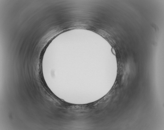 X0000112830338200910021227