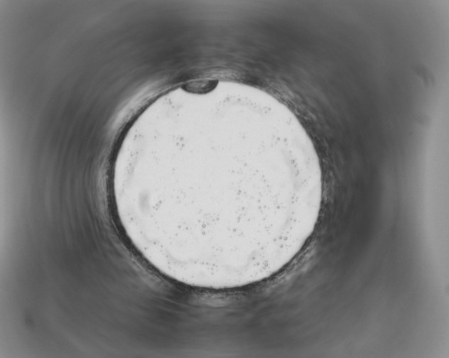 X0000112830341200910021227