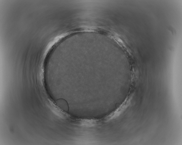 X0000112830342200910021227