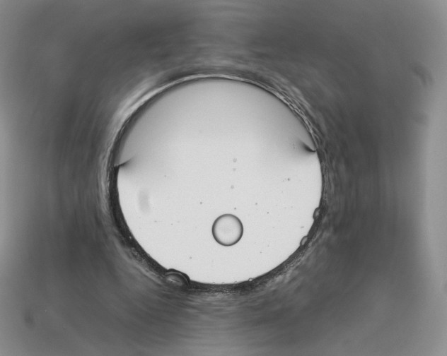 X0000112830344200910021227