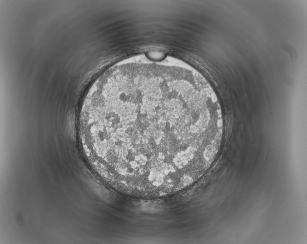 X0000112830345200910021227