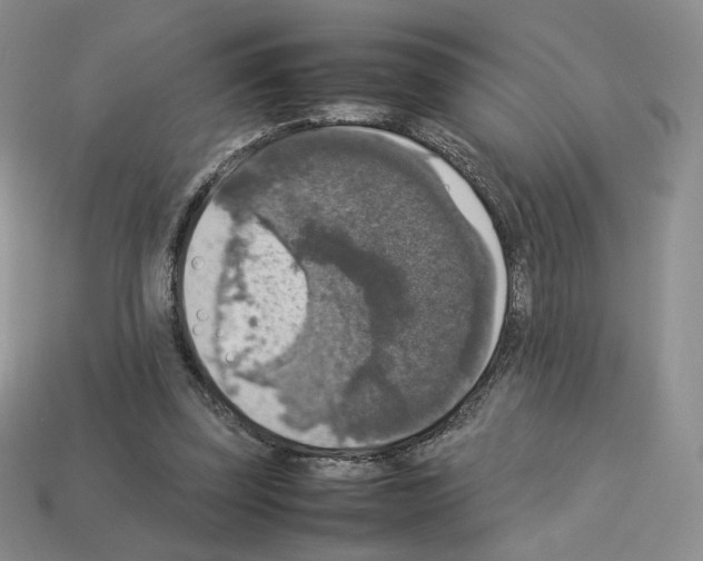 X0000112830347200910021227