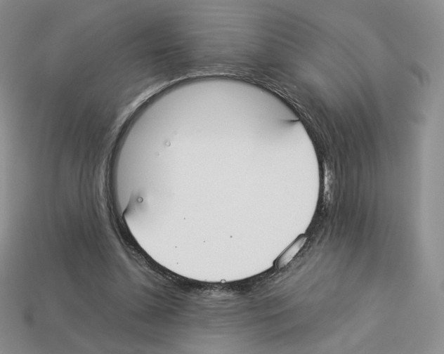 X0000112830348200910021227