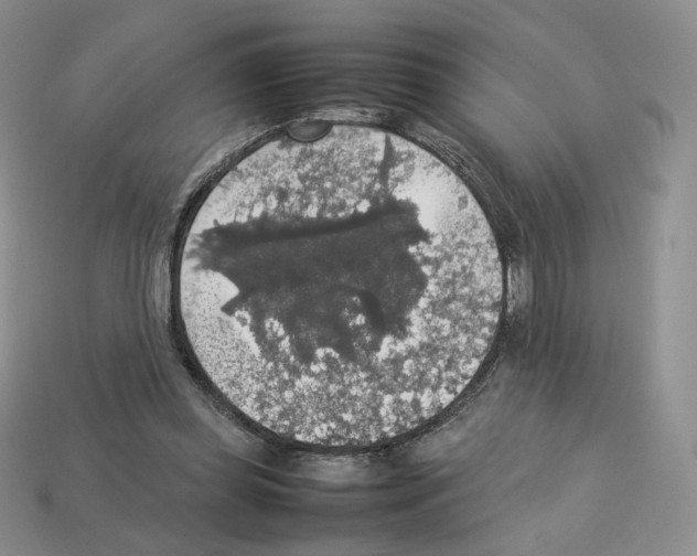 X0000112830349200910021227