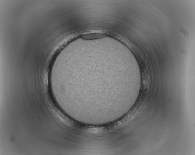 X0000112830350200910021227