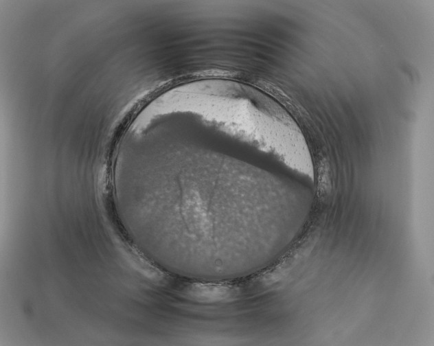 X0000112830351200910021227