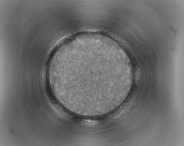 X0000112830352200910021227