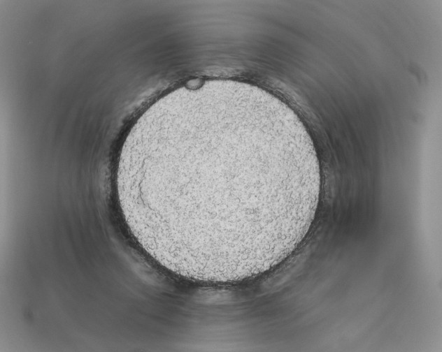 X0000112830354200910021227