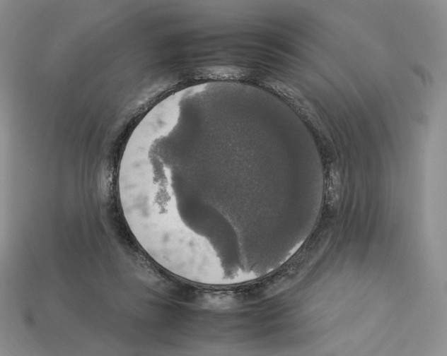 X0000112830355200910021227