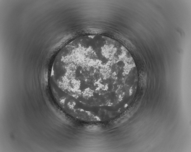 X0000112830358200910021227