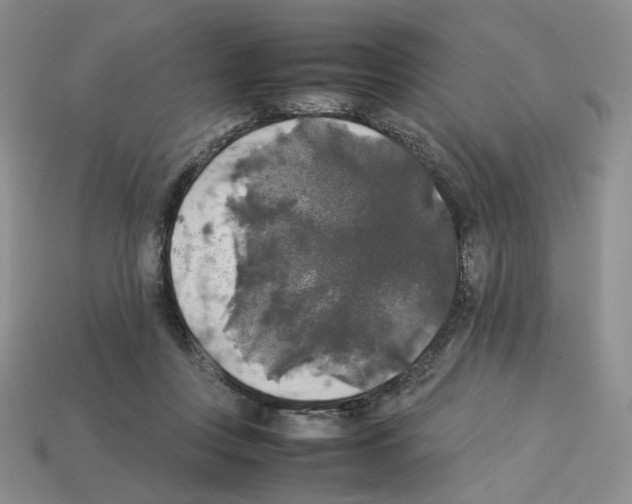 X0000112830359200910021227