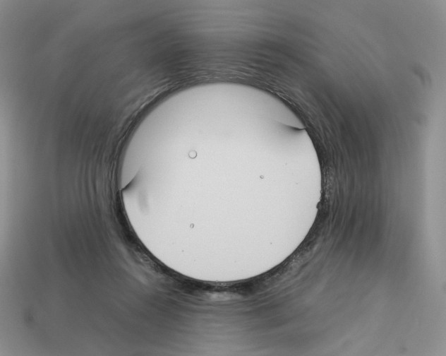 X0000112830360200910021227